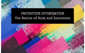 Protection Optimization - the basics of risk and insurance