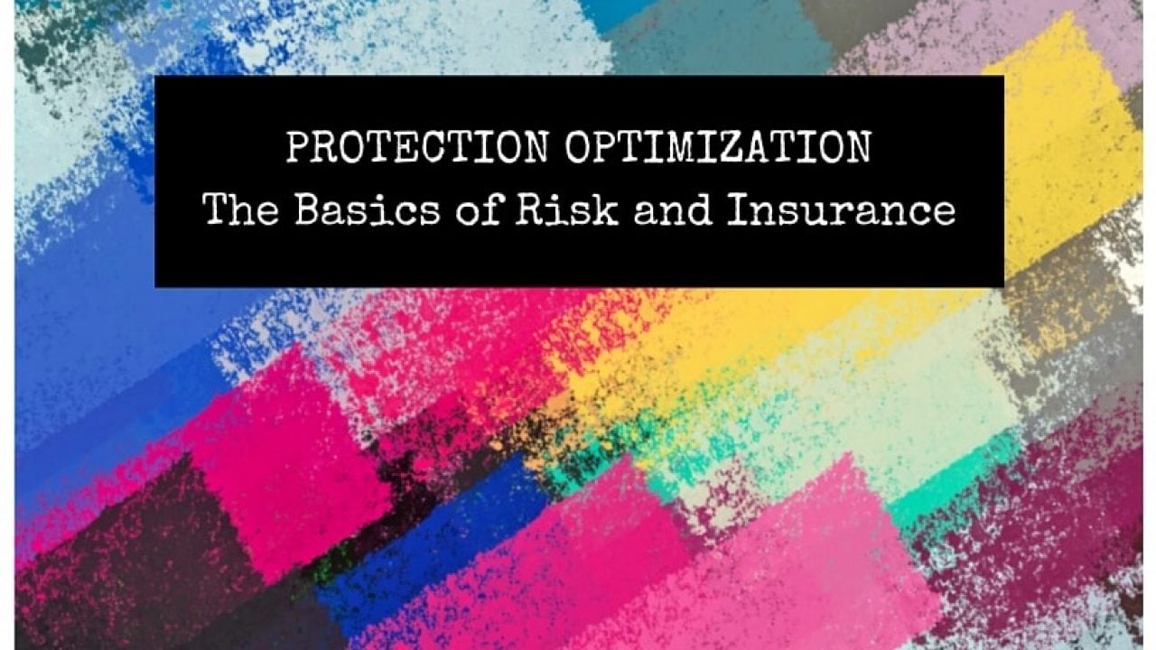 Protection Optimization - the basics of risk and insurance