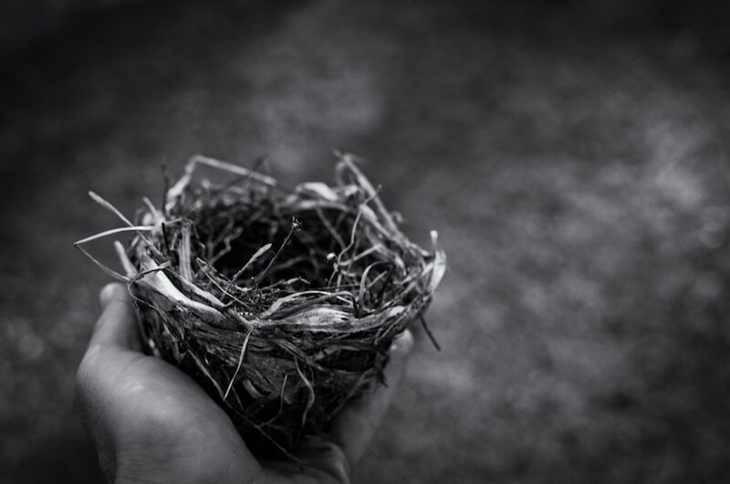 Empty Nest in hand
