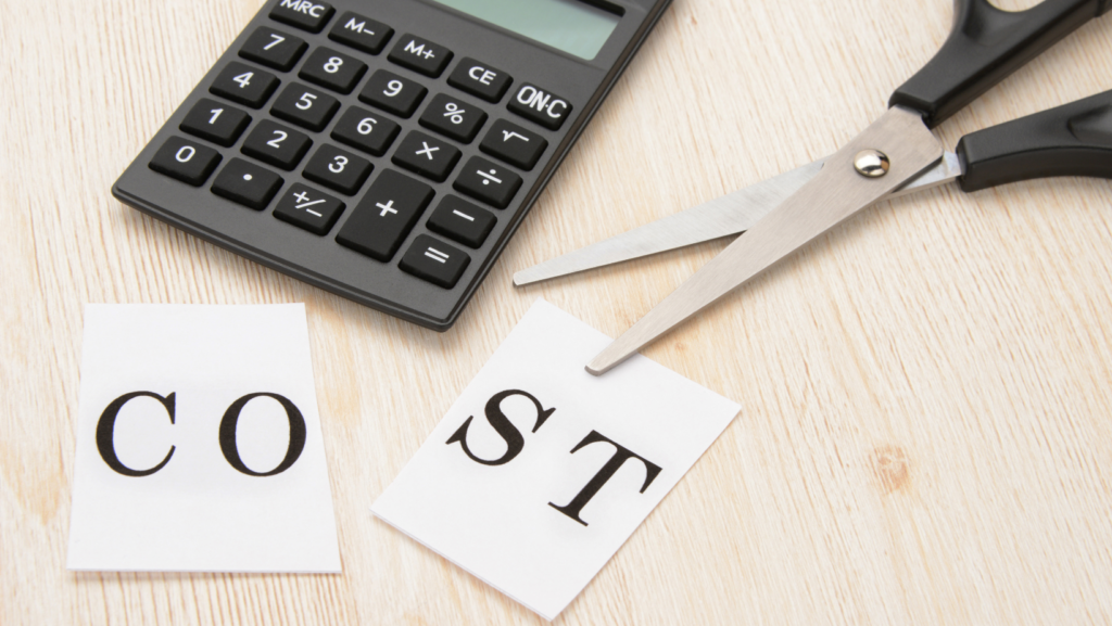 What Does Cost Reduction Mean In Business